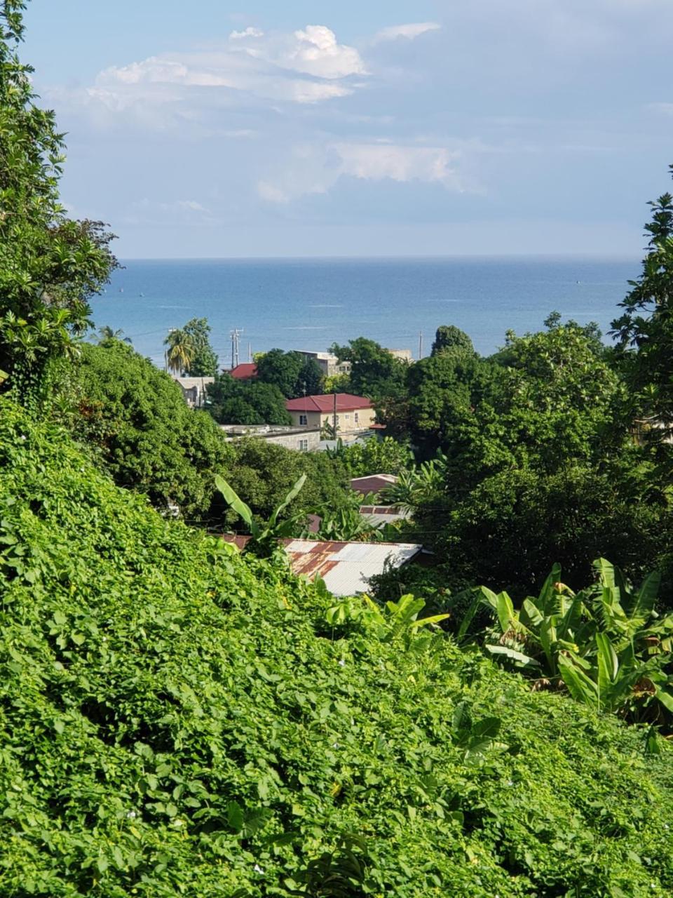 Viva Violas Hostel Port Antonio Exterior photo